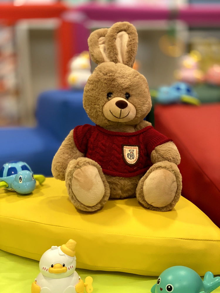 Rabbit Teddy with T shirt
