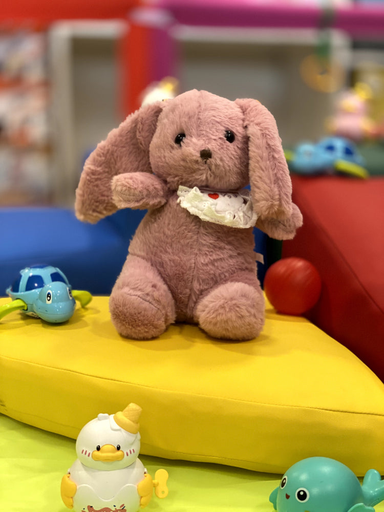 Rabbit Teddy