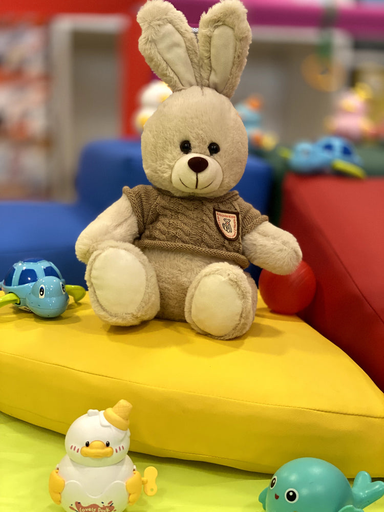 Rabbit Teddy with T shirt