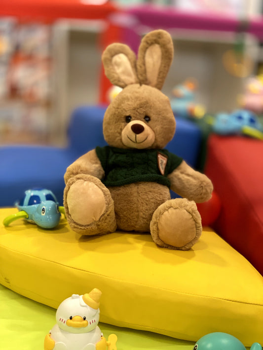 Rabbit Teddy with T shirt